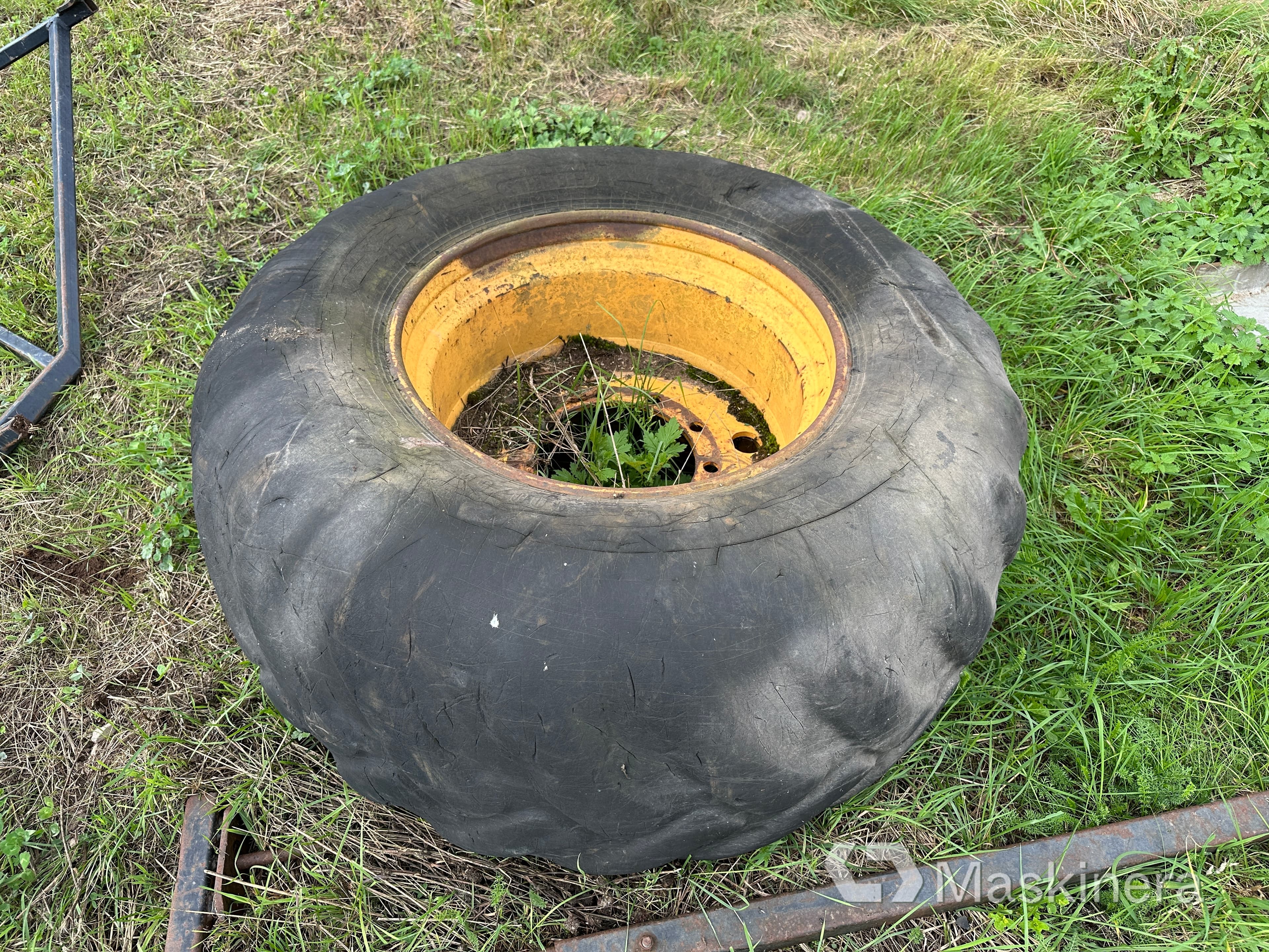 Komplett däck till skotare - 600/55R26,5