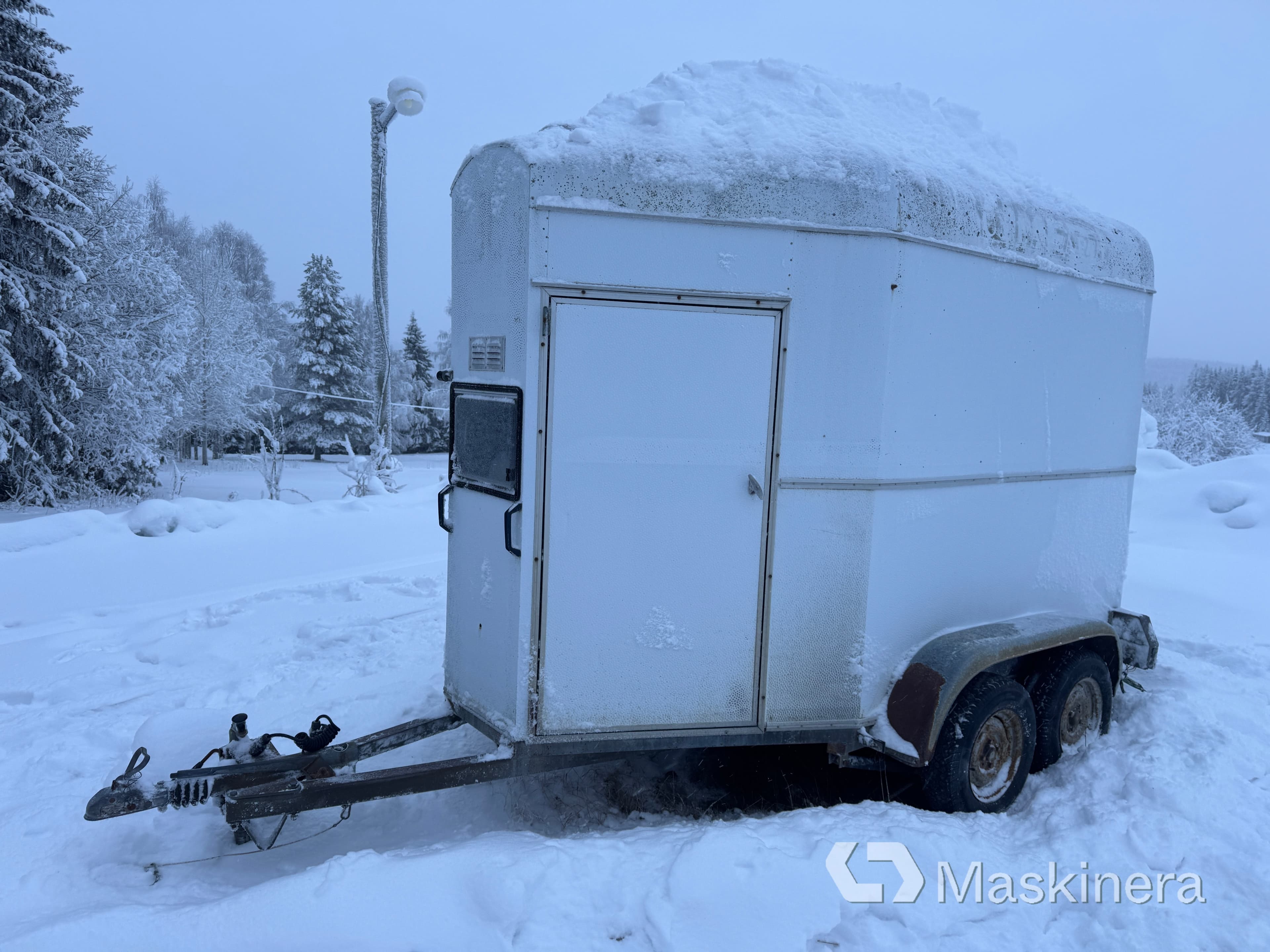 Hästtransport Bygdsiljumsläpet Brunte
